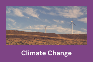 climate change button